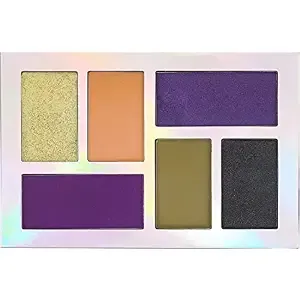 Profusion Cosmetics Multi-Finish 6-Shade Beauty and Long Lasting Colorful Eyeshadow - Highly Pigmented Smooth Skin Professional Makeup Palette (Divine)